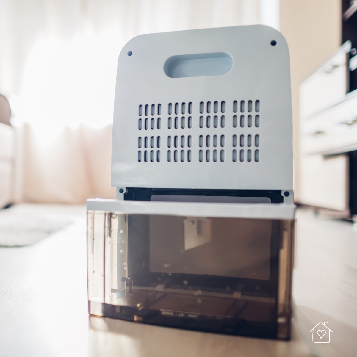 A portable dehumidifier in a bright living room helping control moisture and improve air quality.Placement Recommendation: When suggesting solutions like dehumidifiers for reducing indoor humidity.