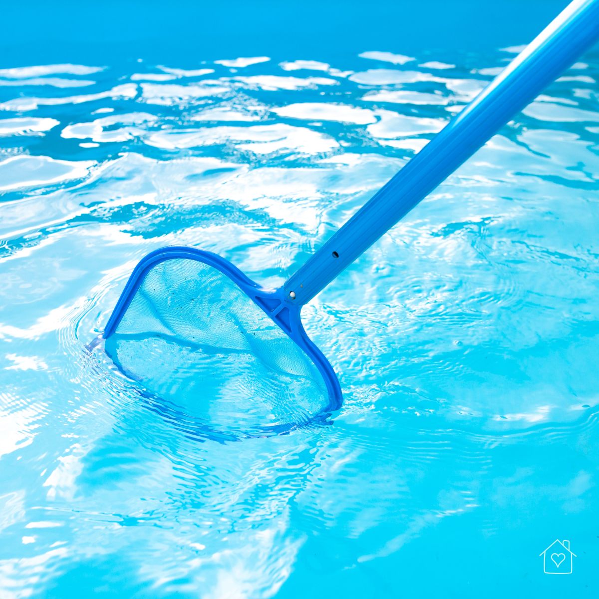 Close-up of a blue pool skimmer net collecting debris from clear blue water.