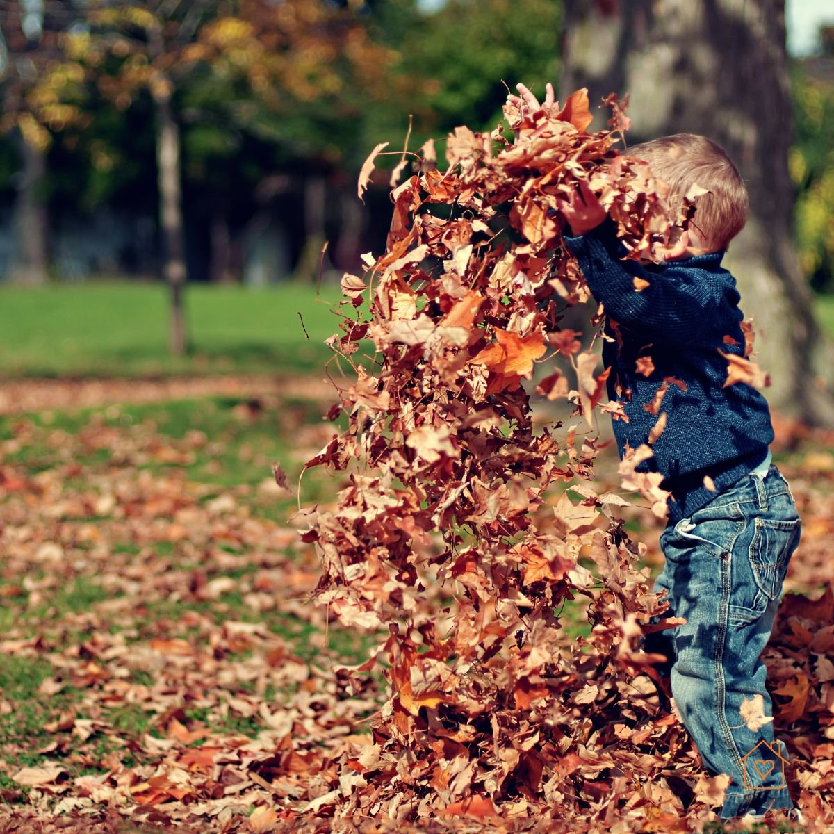 Child tossing dry leaves in a backyard during fall.