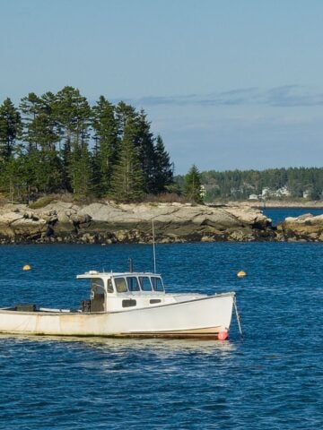 A small white lobster boat floating near a rocky island with pine trees along the Maine coastline.