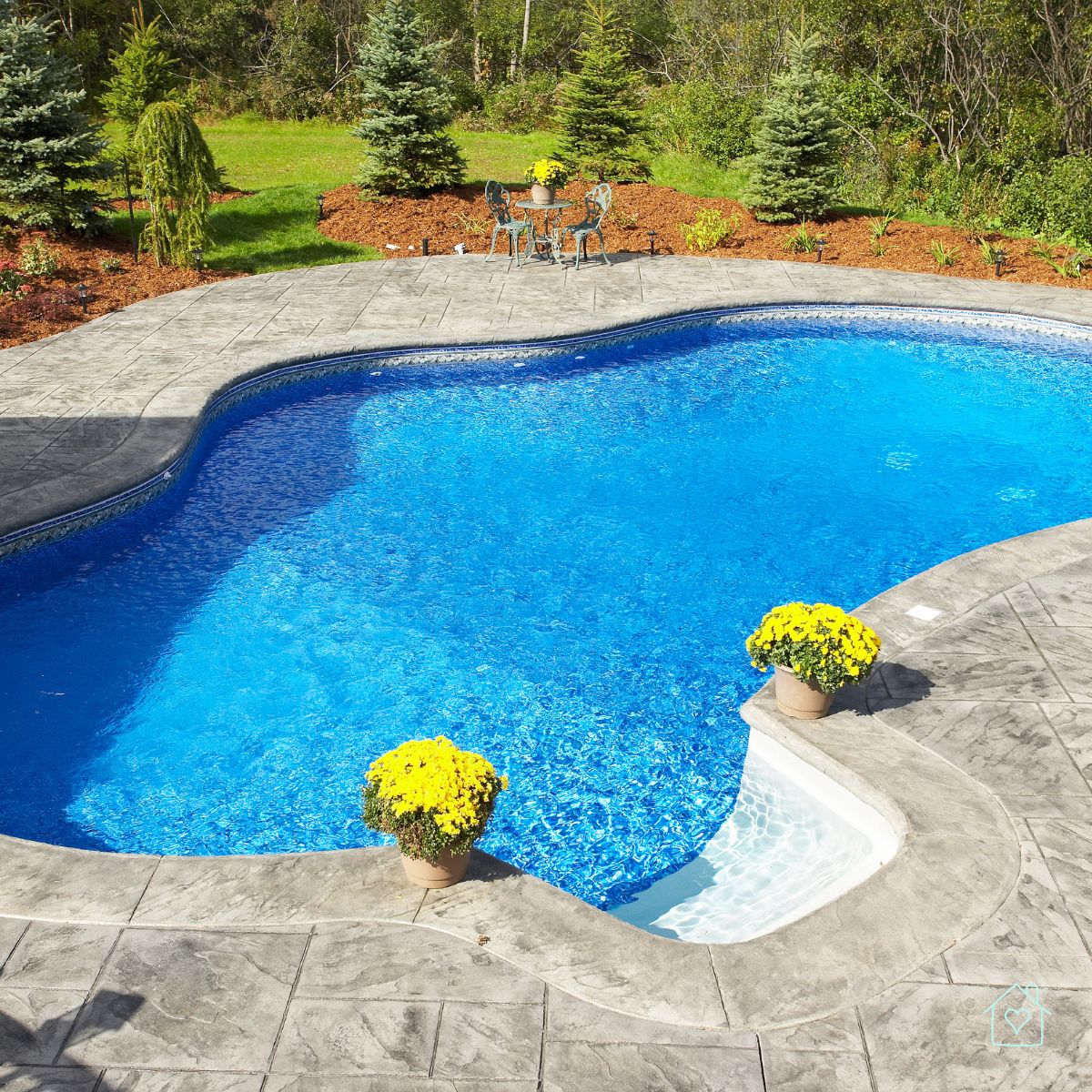 Sparkling residential pool with yellow potted flowers and concrete patio under clear blue sky.