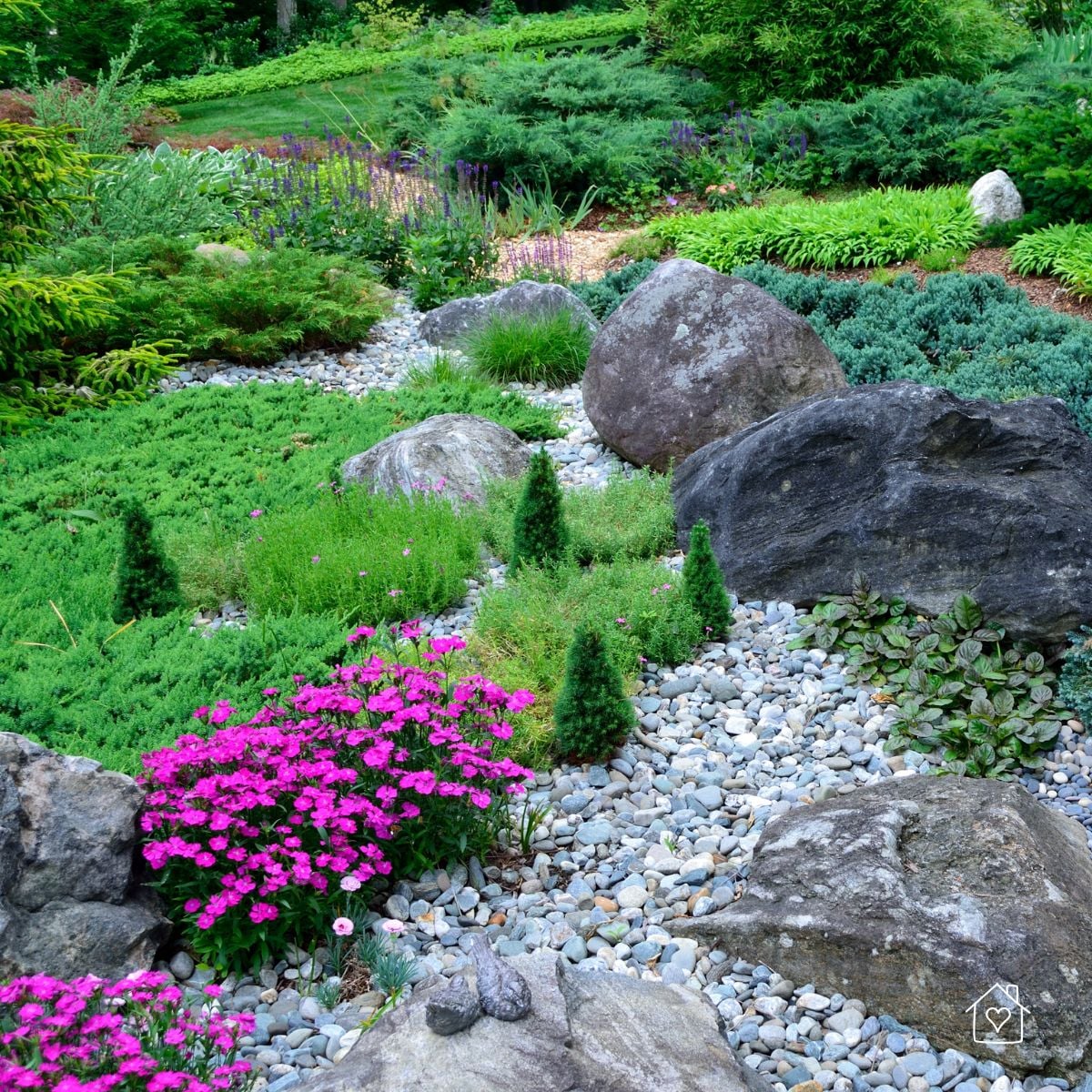 Meandering dry riverbed of gray river rocks with large boulders, evergreen groundcovers, and bright pink flowers.