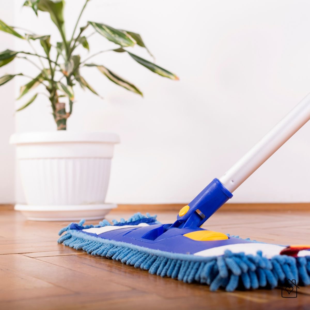 Blue microfiber mop cleaning hardwood floors near a potted plant.