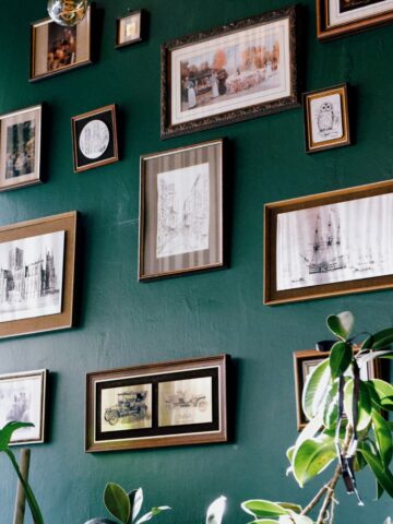 Eclectic gallery wall with mixed frames on a dark green feature wall, plants in the foreground.