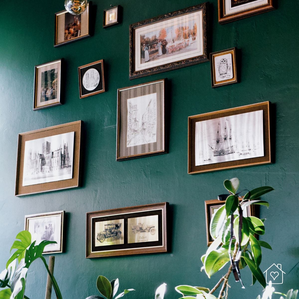 Eclectic gallery wall with mixed frames on a dark green feature wall, plants in the foreground.