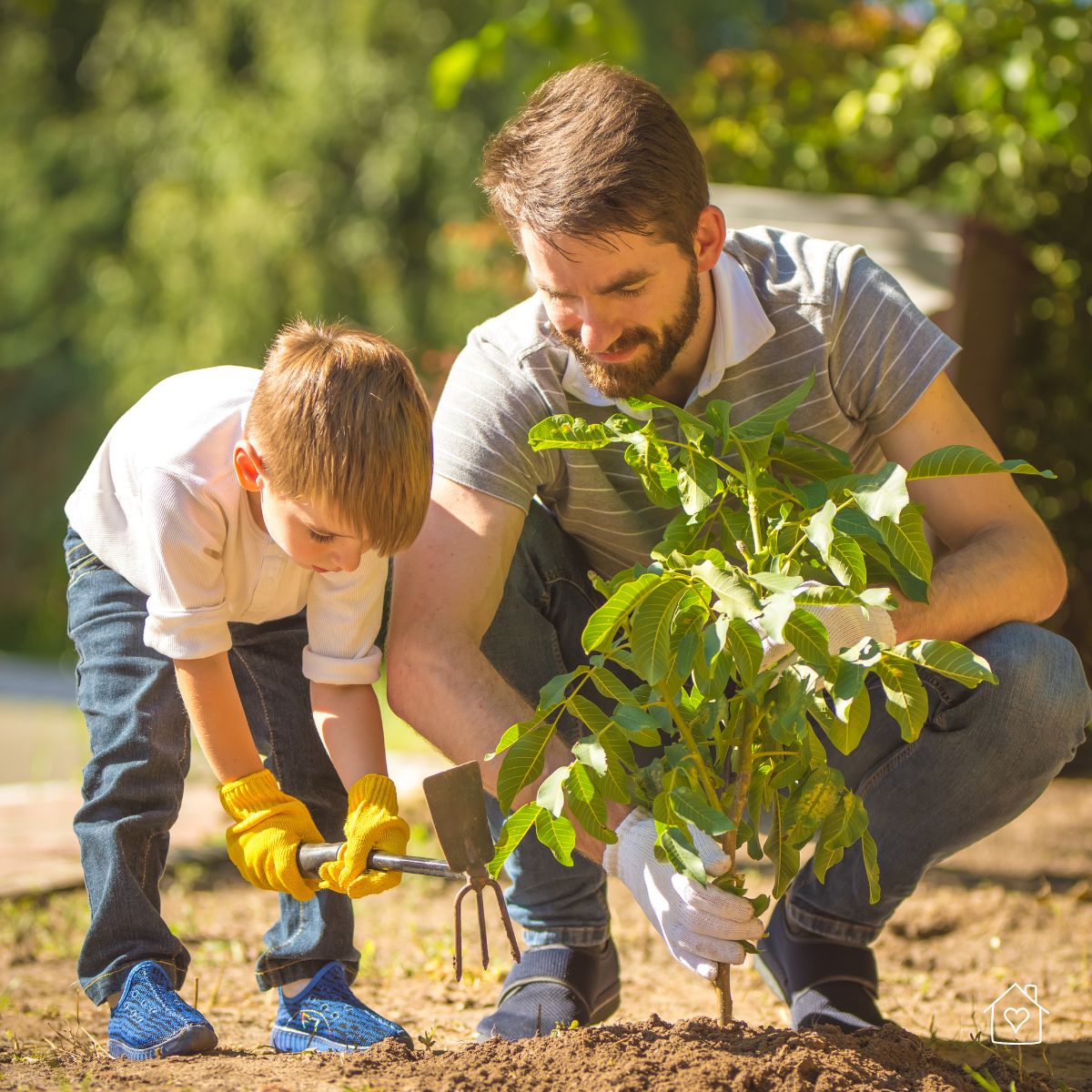 Adult and young child wearing gloves planting a small tree together in the yard, close-up of hands and soil