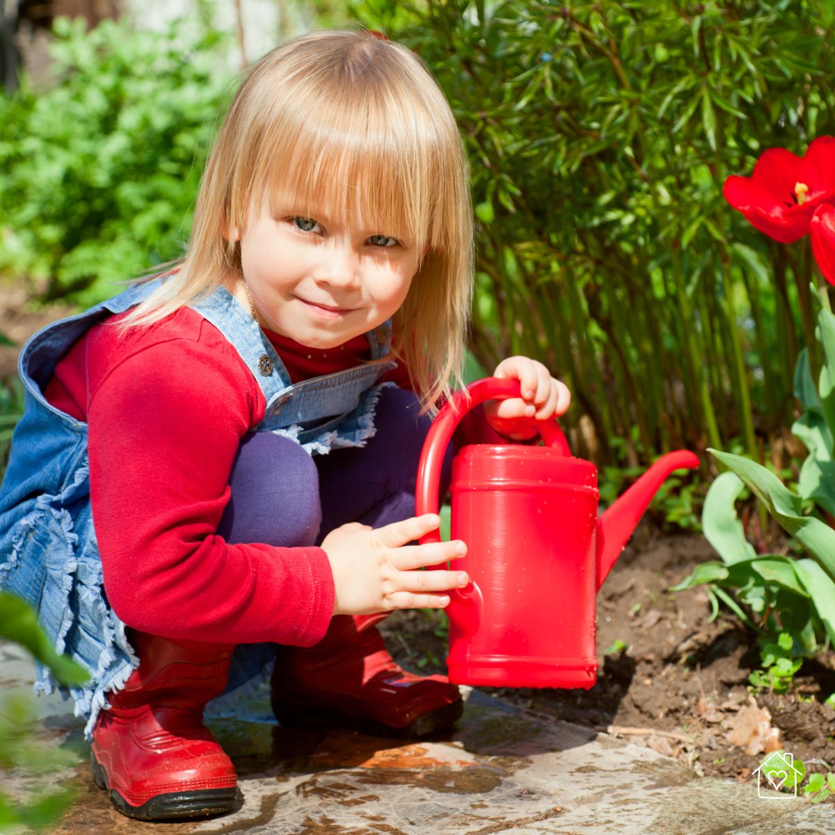 Preschool girl crouching with a bright red watering can next to flowers in a backyard garden