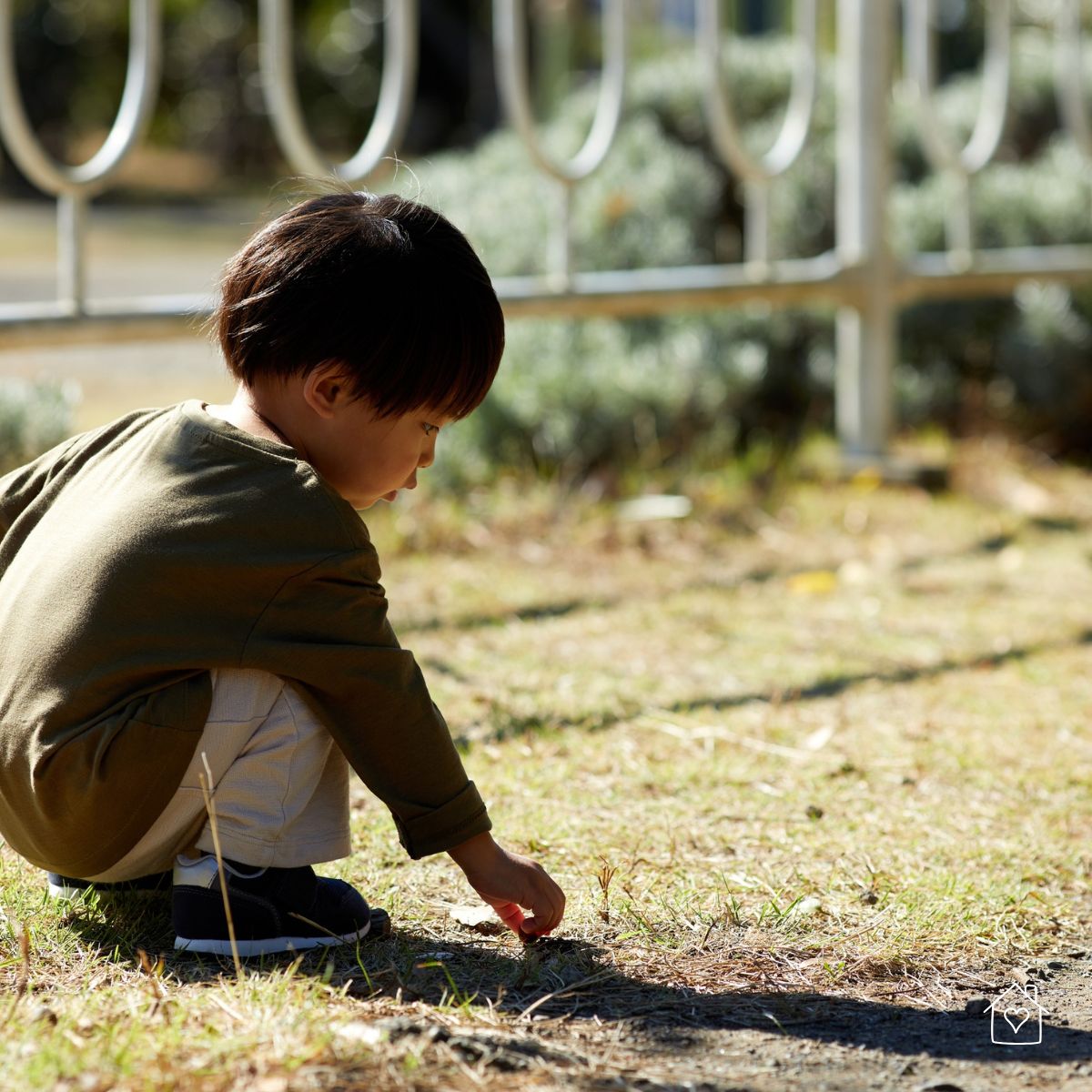 Young child squatting in the yard picking up small sticks near a fence, sunny day