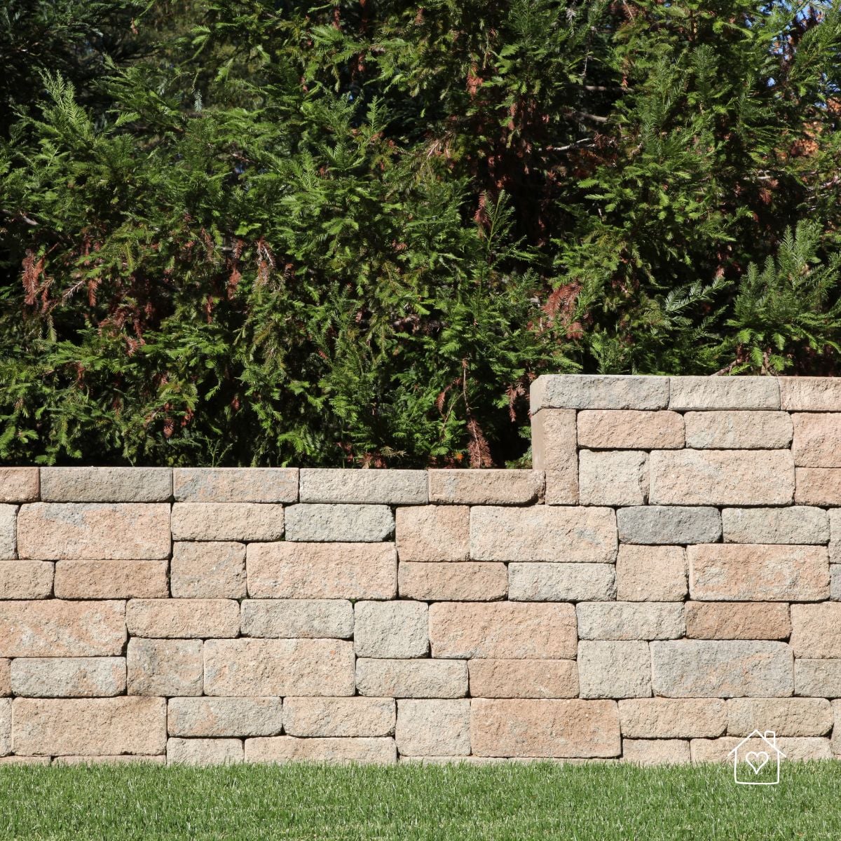 Straight tan block segmental retaining wall holding back soil with evergreen trees behind and lawn in front.