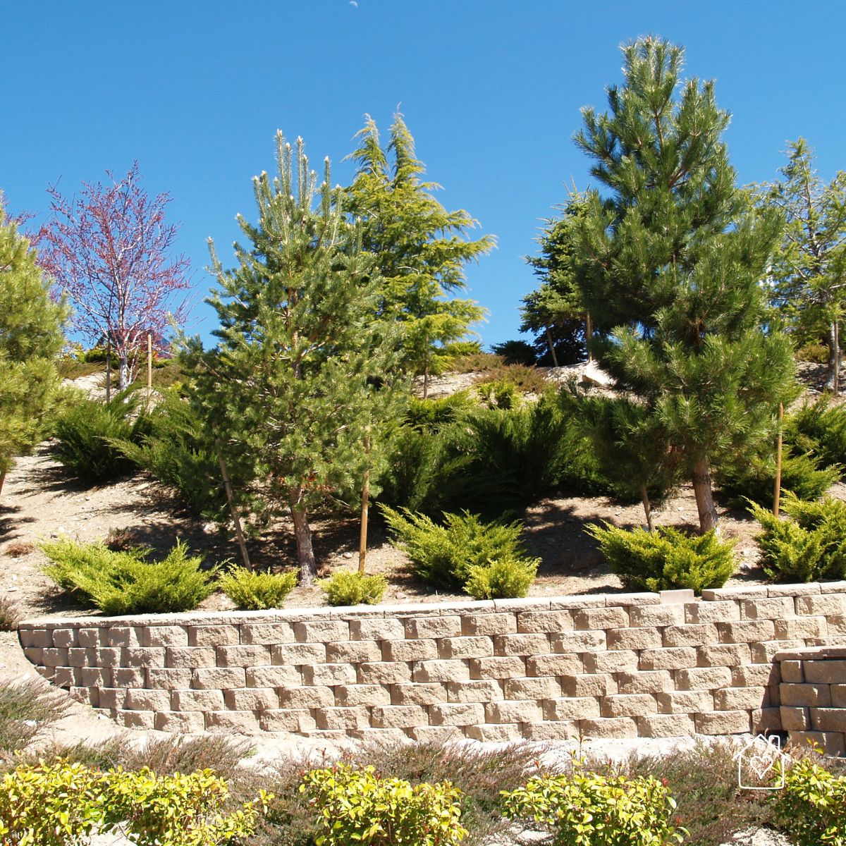 Long block retaining wall stabilizing a sloped hillside with trees and shrubs planted above under a clear blue sky.