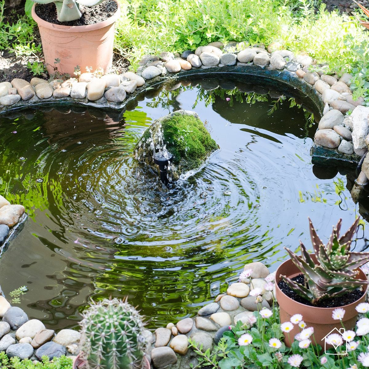 Small round garden pond edged with smooth stones and a bubbling fountain in the center, surrounded by potted plants.