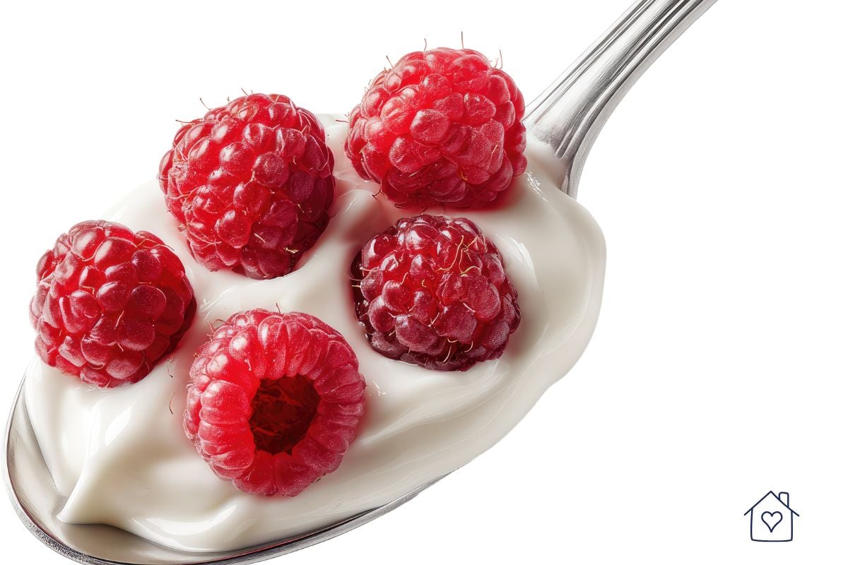 Portable protein snack idea with yogurt and raspberries for busy athletes