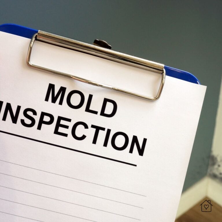 Mold Inspection by Fast Mold Testing Houston