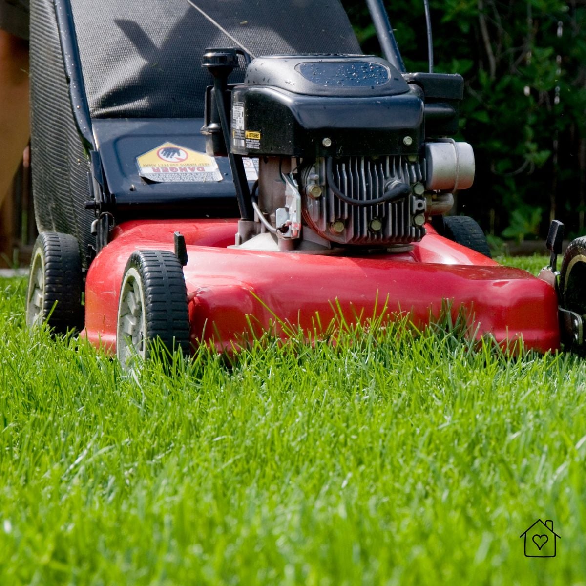 Red gas push lawn mower with grass bag cutting a healthy green lawn