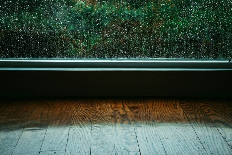 Condensation and rain streaking down a window above a hardwood floor, showing indoor humidity buildup during extreme heat