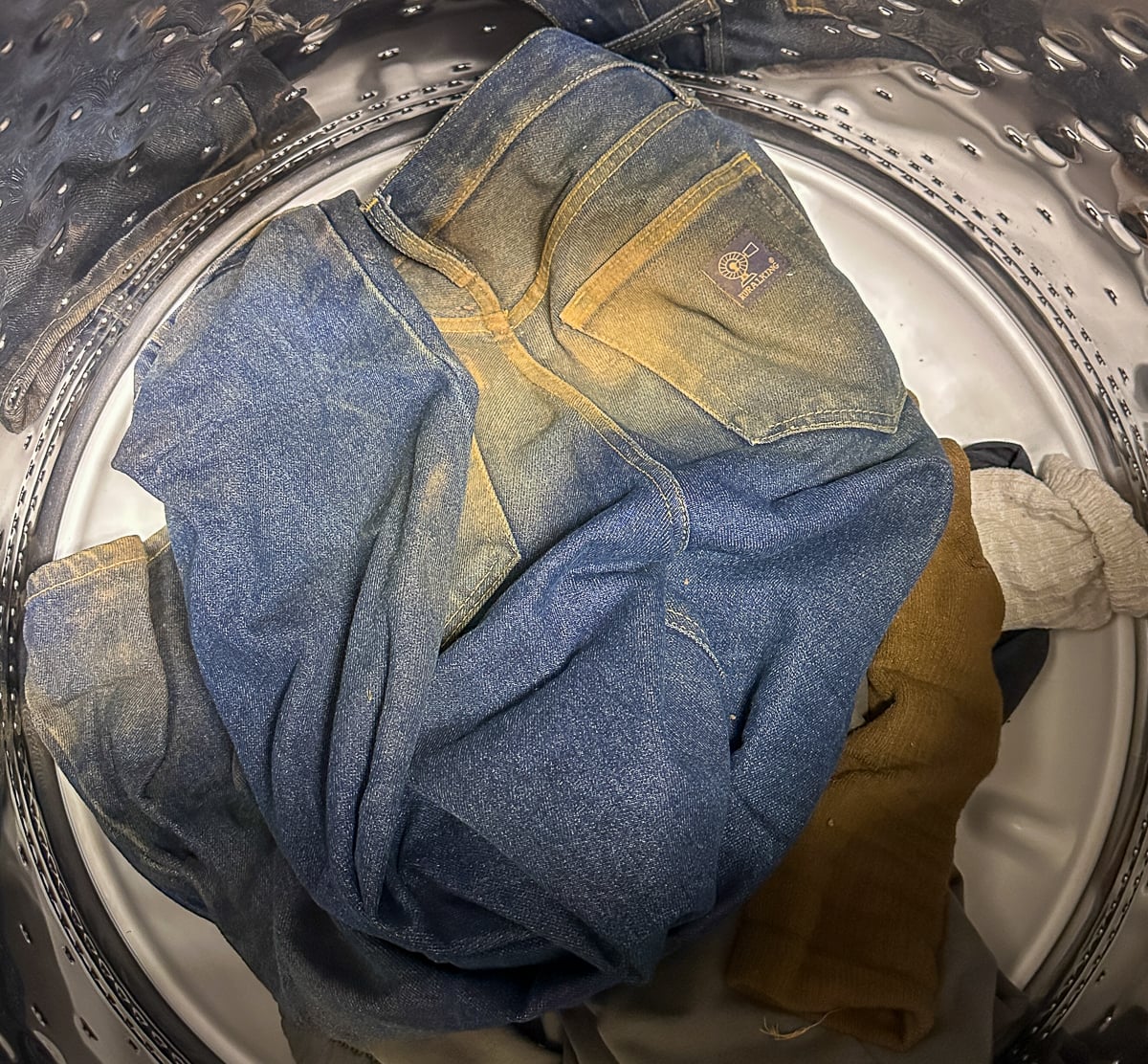 Mud-caked jeans loaded into washing machine after outdoor landscaping work