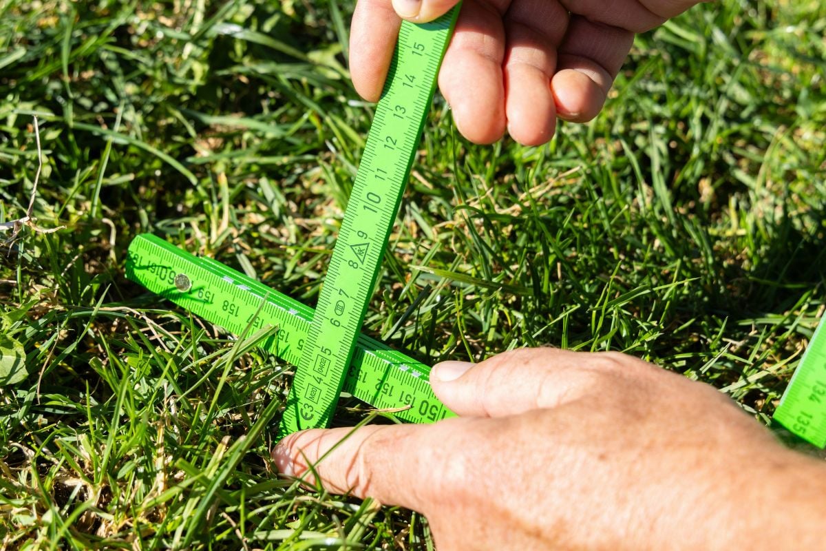 Hand holding a green leaf while inspecting lawn for weeds