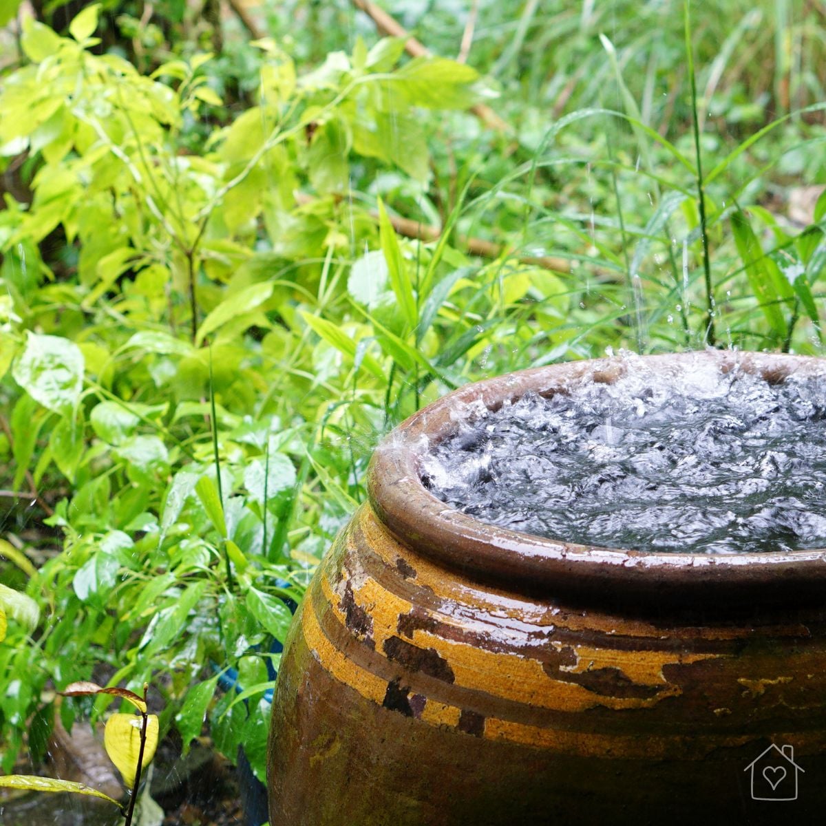 Raindrops splash into a large terracotta pot surrounded by lush green garden foliage on a rainy day