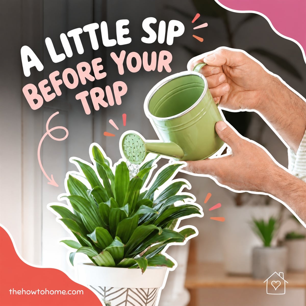 Hands watering a houseplant with a green watering can before heading out on a trip