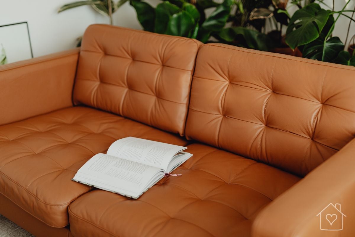 Camel tufted leather sofa cushion with an open book resting on it, surrounded by houseplants